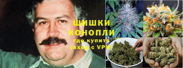 мет Алзамай